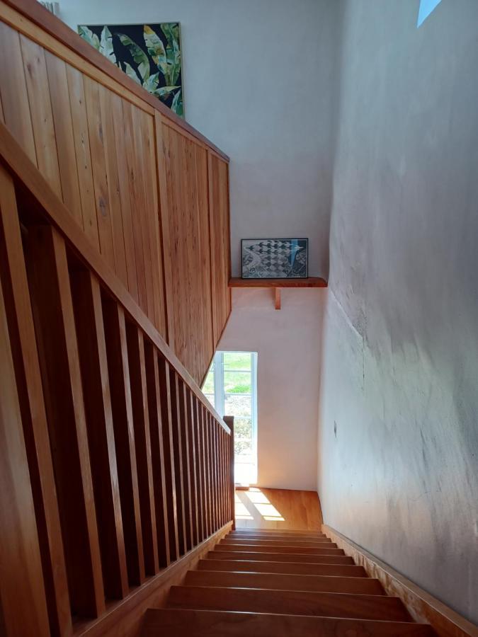 Pirita Vineyard Cottage. Upper Moutere Екстер'єр фото