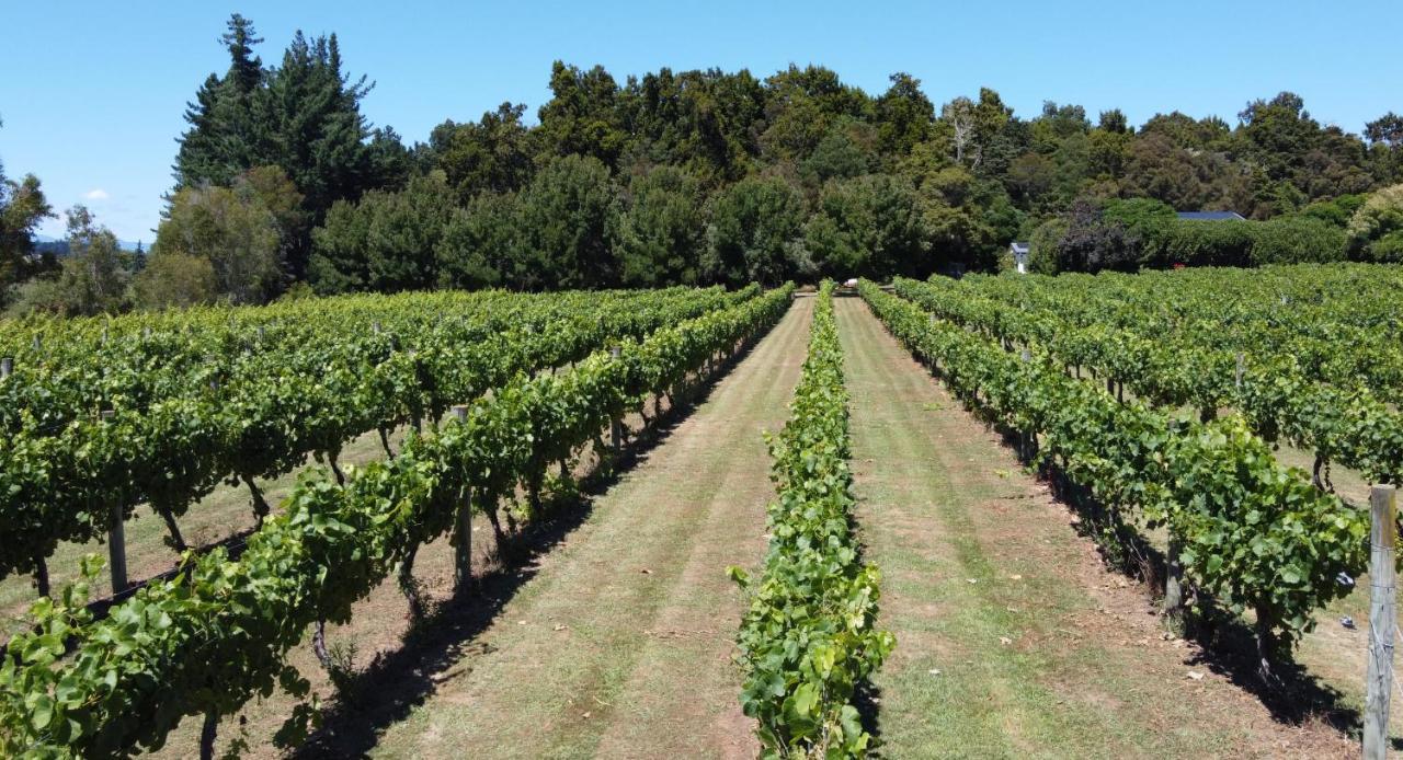 Pirita Vineyard Cottage. Upper Moutere Екстер'єр фото